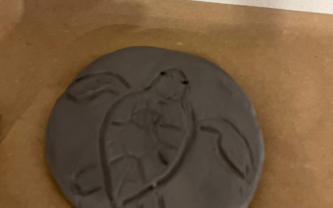 Sostenibilidad – Fátima