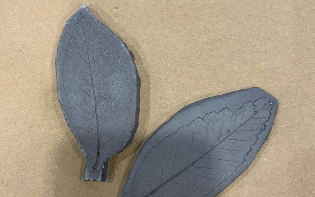 Sostenibilidad – Manuel