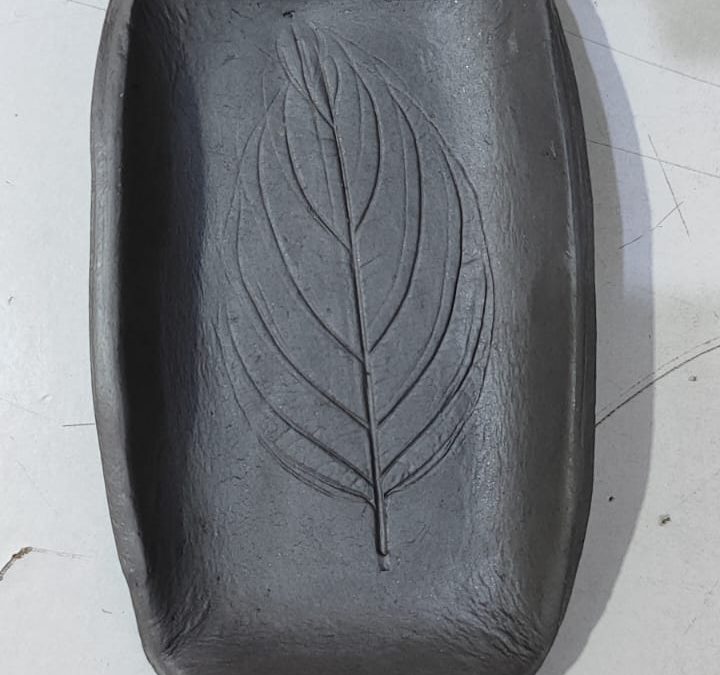 sesión sobre crisis ambiental